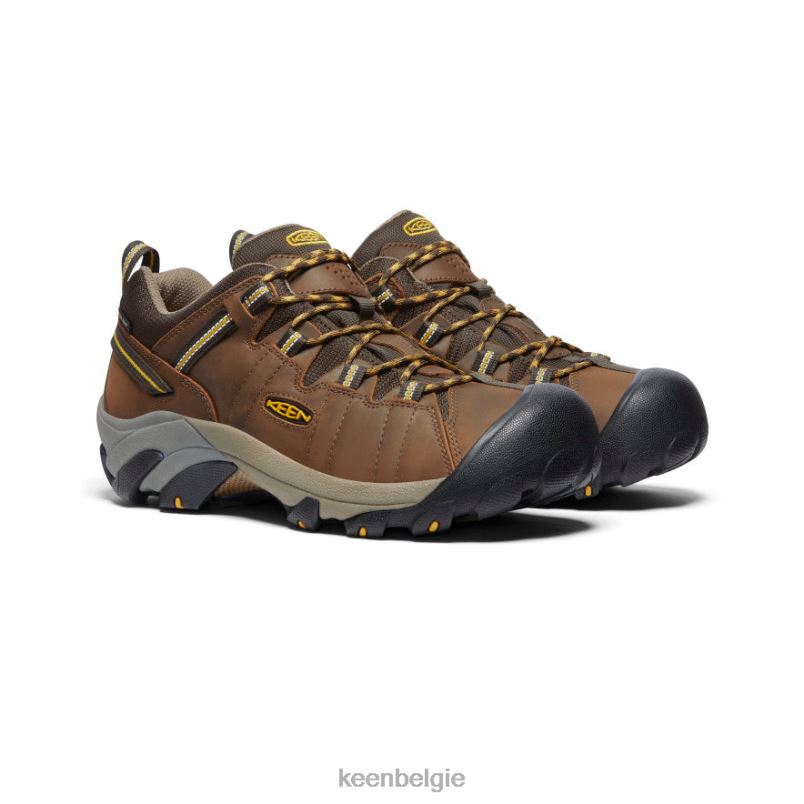 Heren targhee ii waterdicht cascadebruin/goudgeel KEEN schoenen DPX8V206