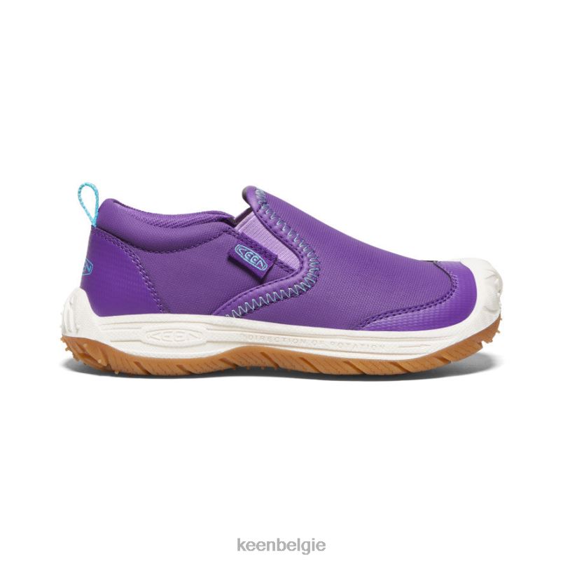kleine kinderen speedhound slip-on tillandsia paars/ipanema KEEN schoenen DPX8V715