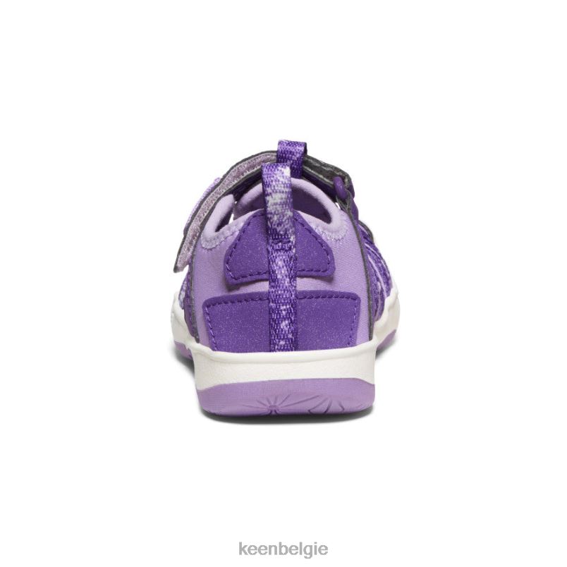 kleine kinderen moxie sandaal multi/engelse lavendel KEEN schoenen DPX8V962