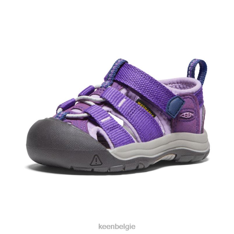peuters nieuwpoort h2 tillandsia paars/engelse lavendel KEEN schoenen DPX8V829