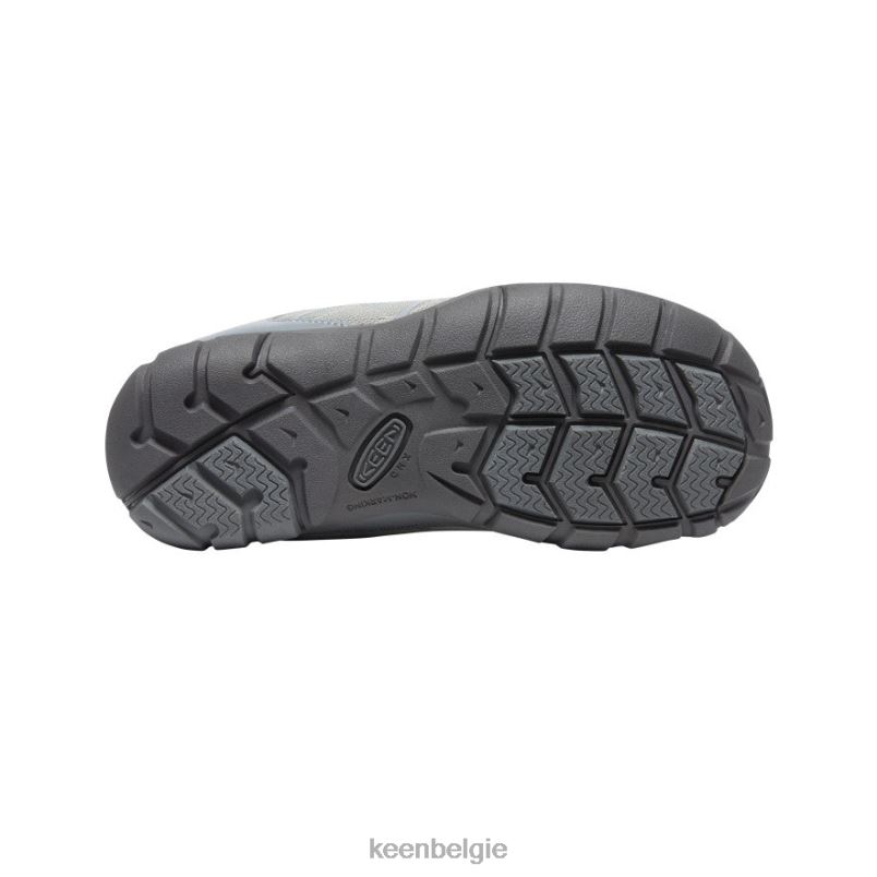 Grote kinderen chandler 2 cnx-sneaker antigua zand/motregen KEEN schoenen DPX8V882