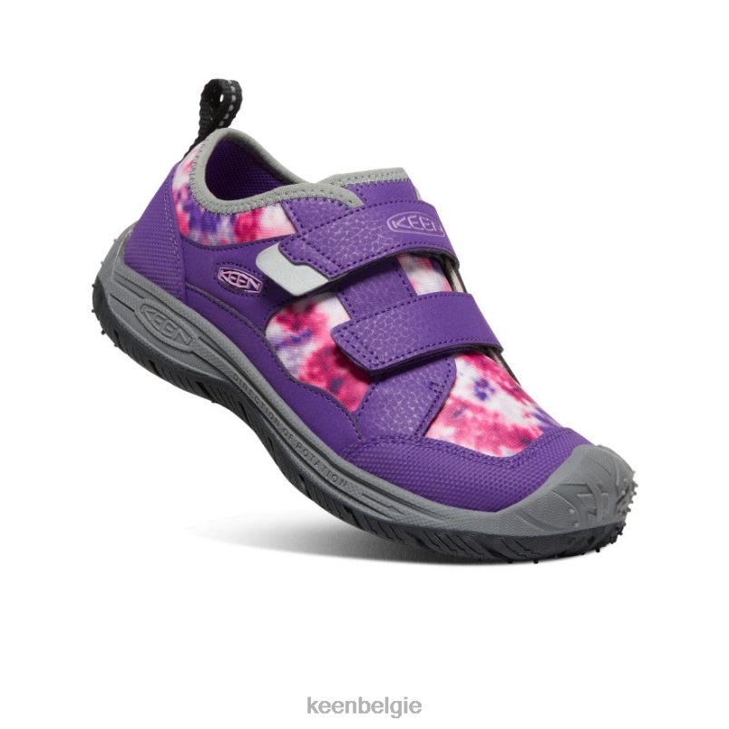 Grote kinderen snelheid hond tillandsia paars/multi KEEN schoenen DPX8V872