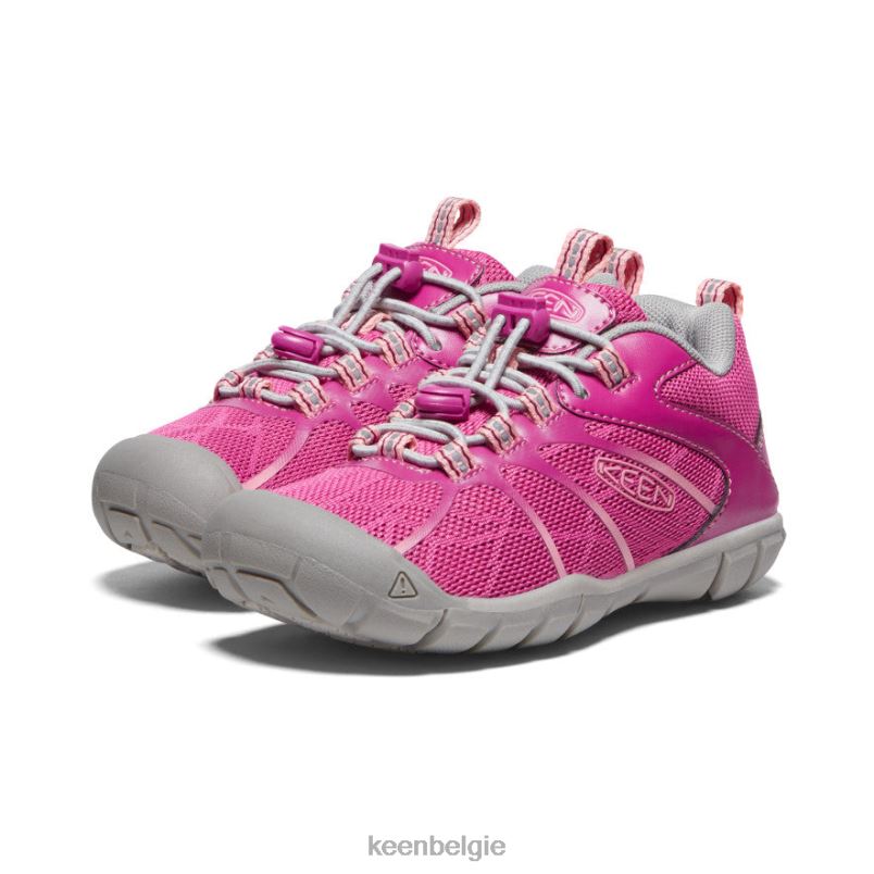 kleine kinderen chandler 2 cnx-sneaker festival fuchsia/ibis roos KEEN schoenen DPX8V902