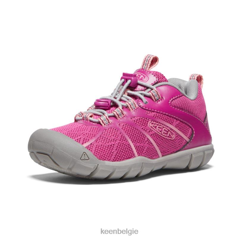 kleine kinderen chandler 2 cnx-sneaker festival fuchsia/ibis roos KEEN schoenen DPX8V902