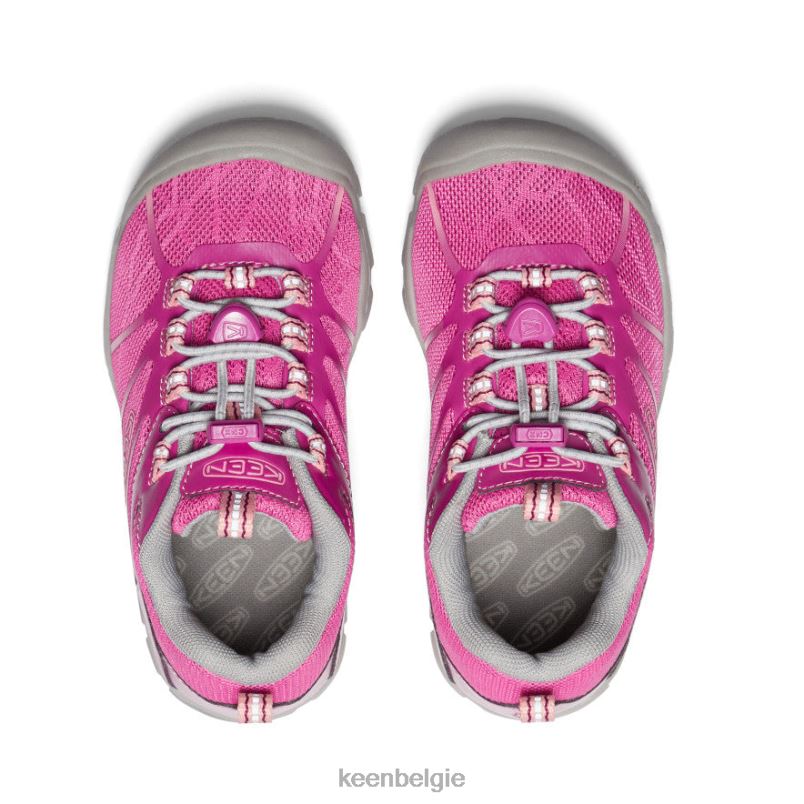 kleine kinderen chandler 2 cnx-sneaker festival fuchsia/ibis roos KEEN schoenen DPX8V902