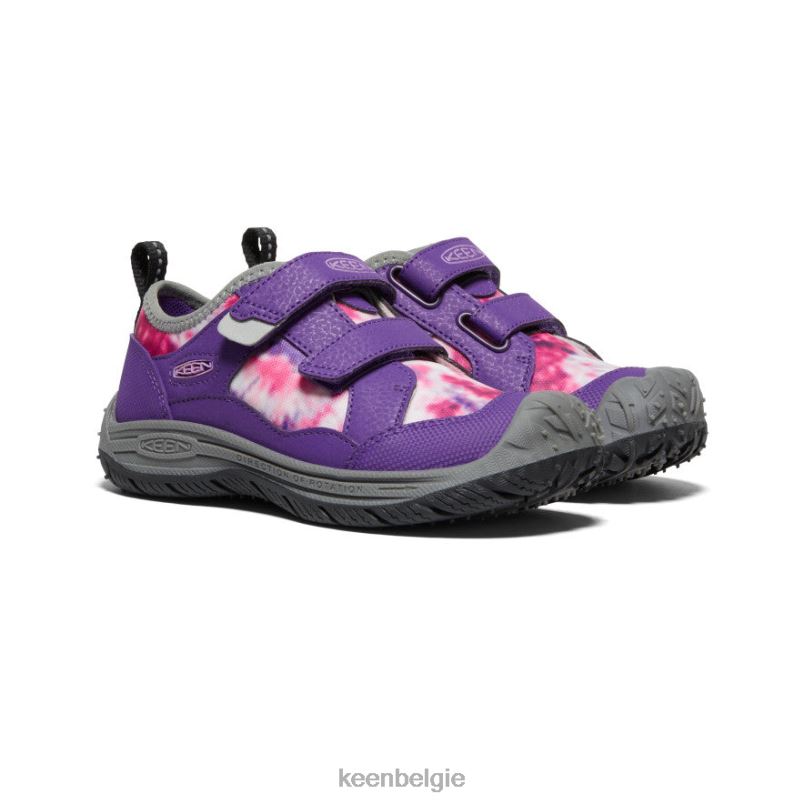 kleine kinderen snelheid hond tillandsia paars/multi KEEN schoenen DPX8V810