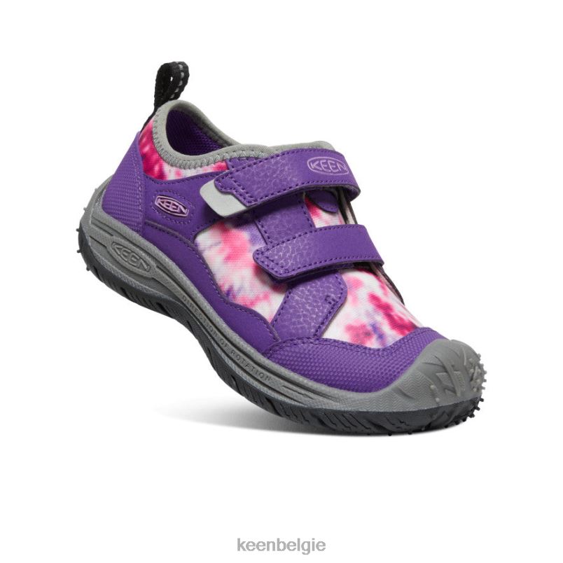 kleine kinderen snelheid hond tillandsia paars/multi KEEN schoenen DPX8V810