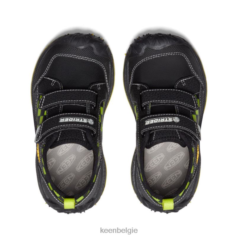 kleine kinderen snelheid hond zwart/multi KEEN schoenen DPX8V813