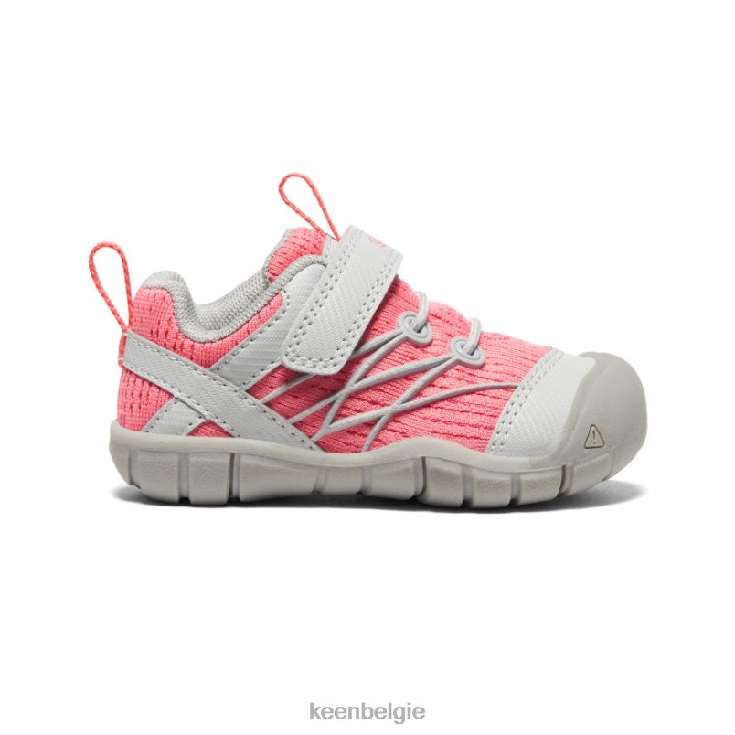 peuters Chandler cnx motregen/dubarry KEEN schoenen DPX8V900