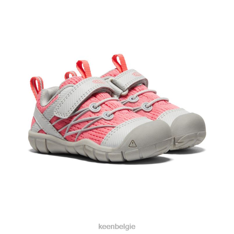 peuters Chandler cnx motregen/dubarry KEEN schoenen DPX8V900