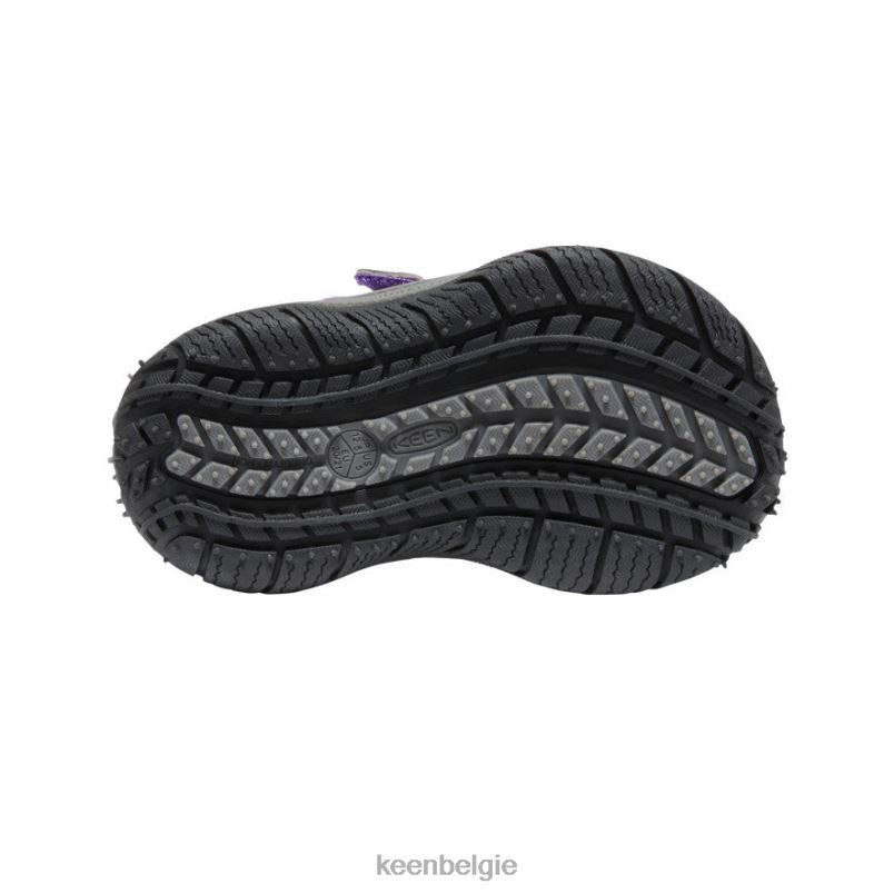 peuters snelheid hond tillandsia paars/multi KEEN schoenen DPX8V920